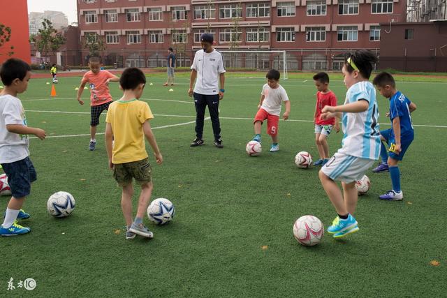 媒体人谈杨舒予热搜第1:体育饭圈化成行业现象